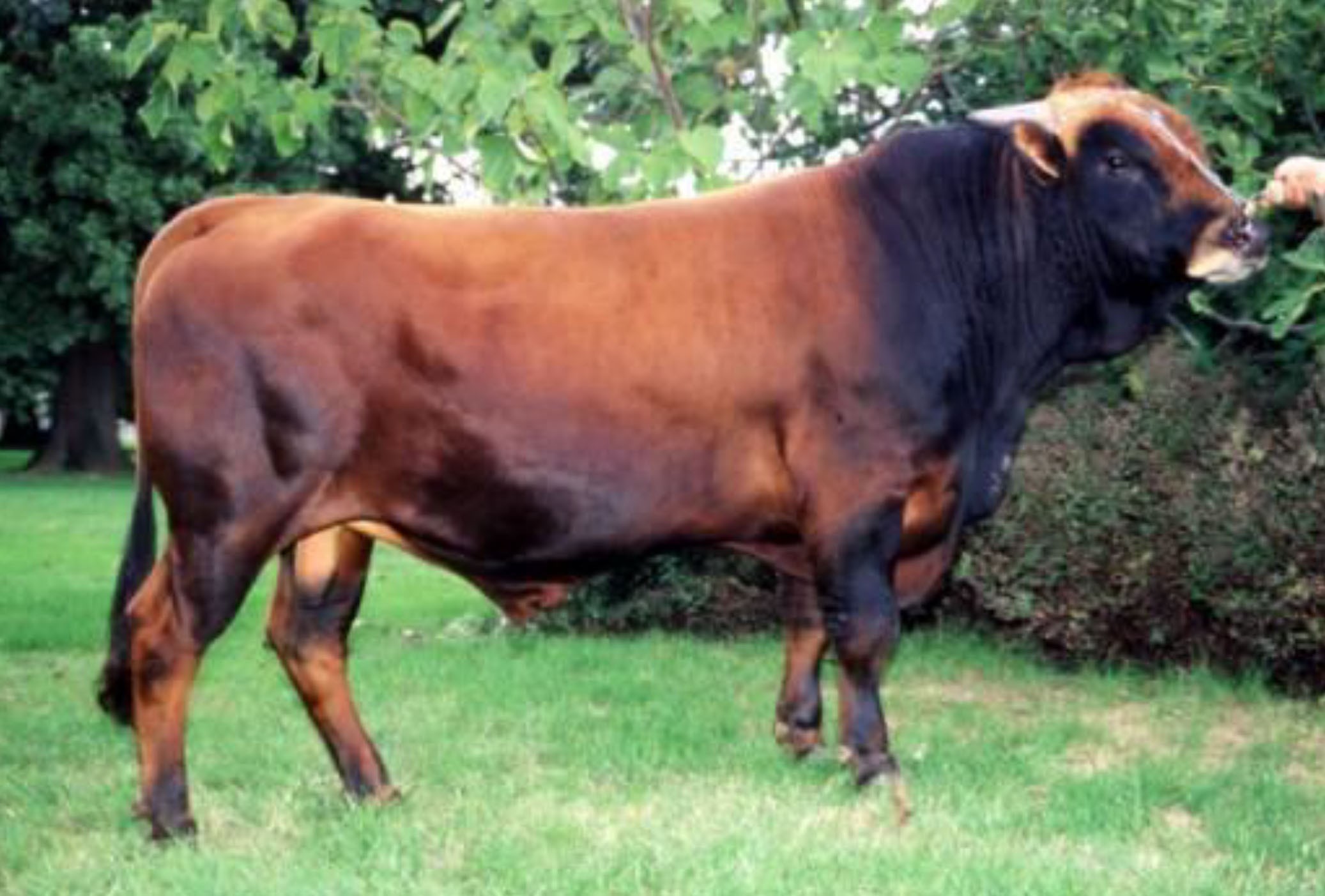 MATRA  FR 73 96 011 761 TARENTAISE - ტარენტაიზი